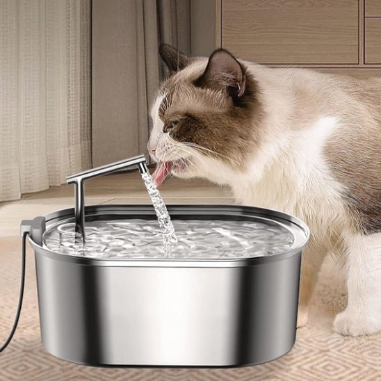 Cat Water Fountain