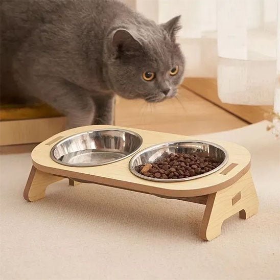 Cat Bowls